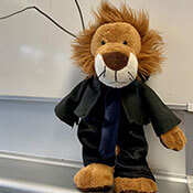 Klassentier Löwe Klaus