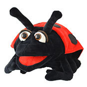 Klassentier Marienkäfer Karli